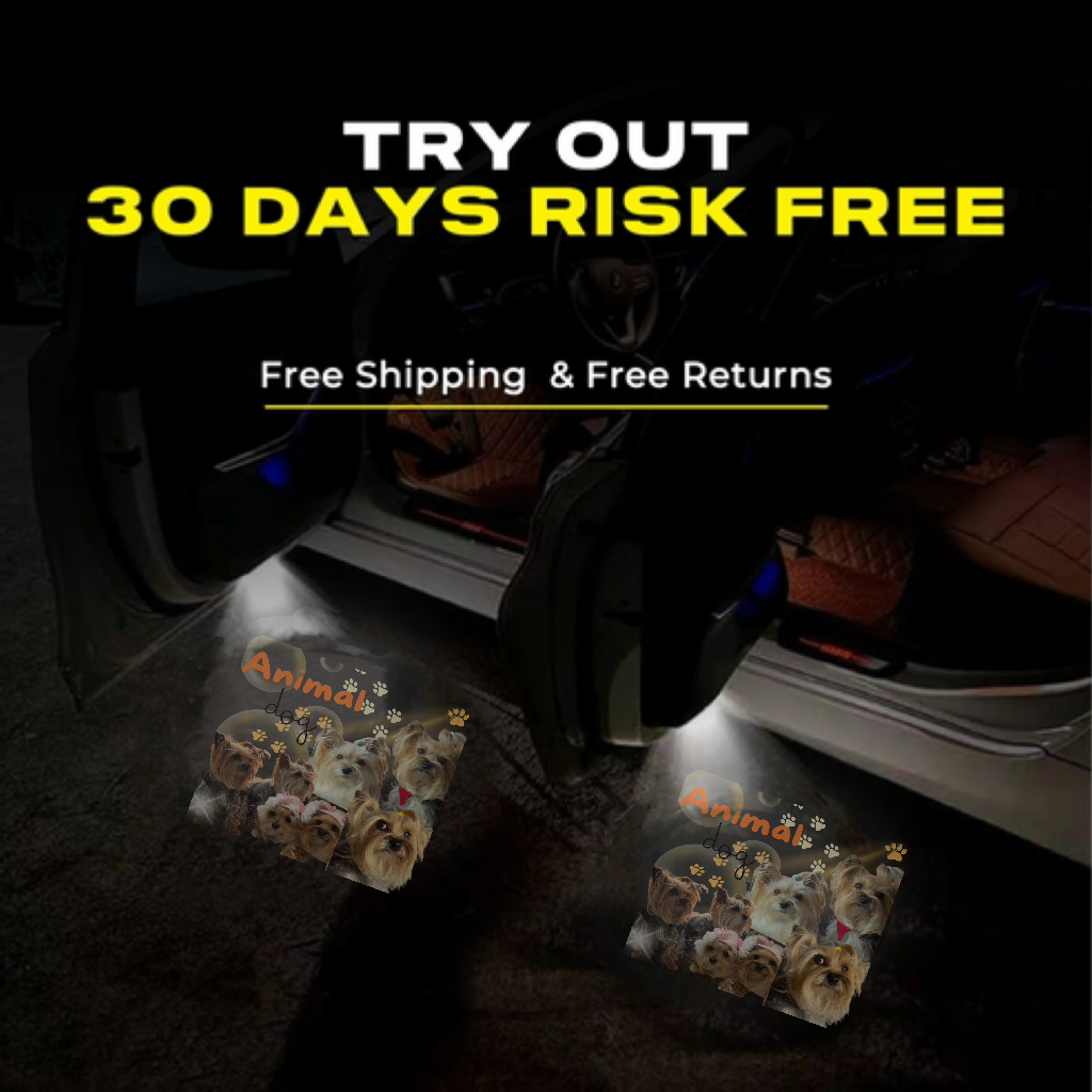Car Door Projector Light Custom